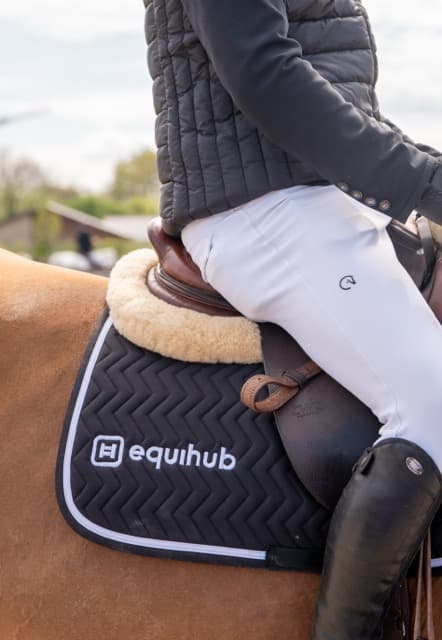 Equihub Logo