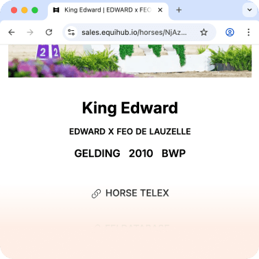 Sales pages