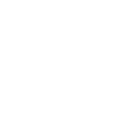 Logo Icon | White | PNG