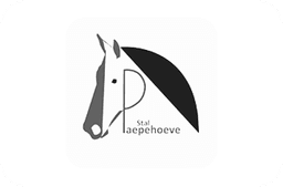 Partner HK Equestrian Logo