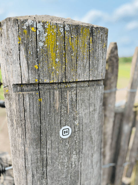 Why Leading Stables Are Choosing Equihub