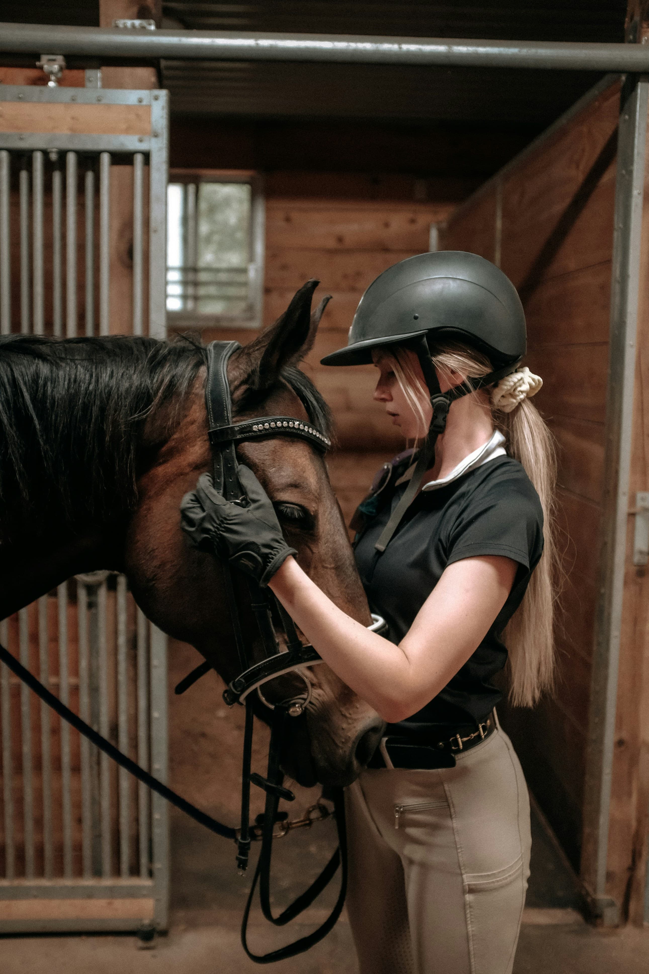 No More Guesswork: Plan Horse Health with Confidence