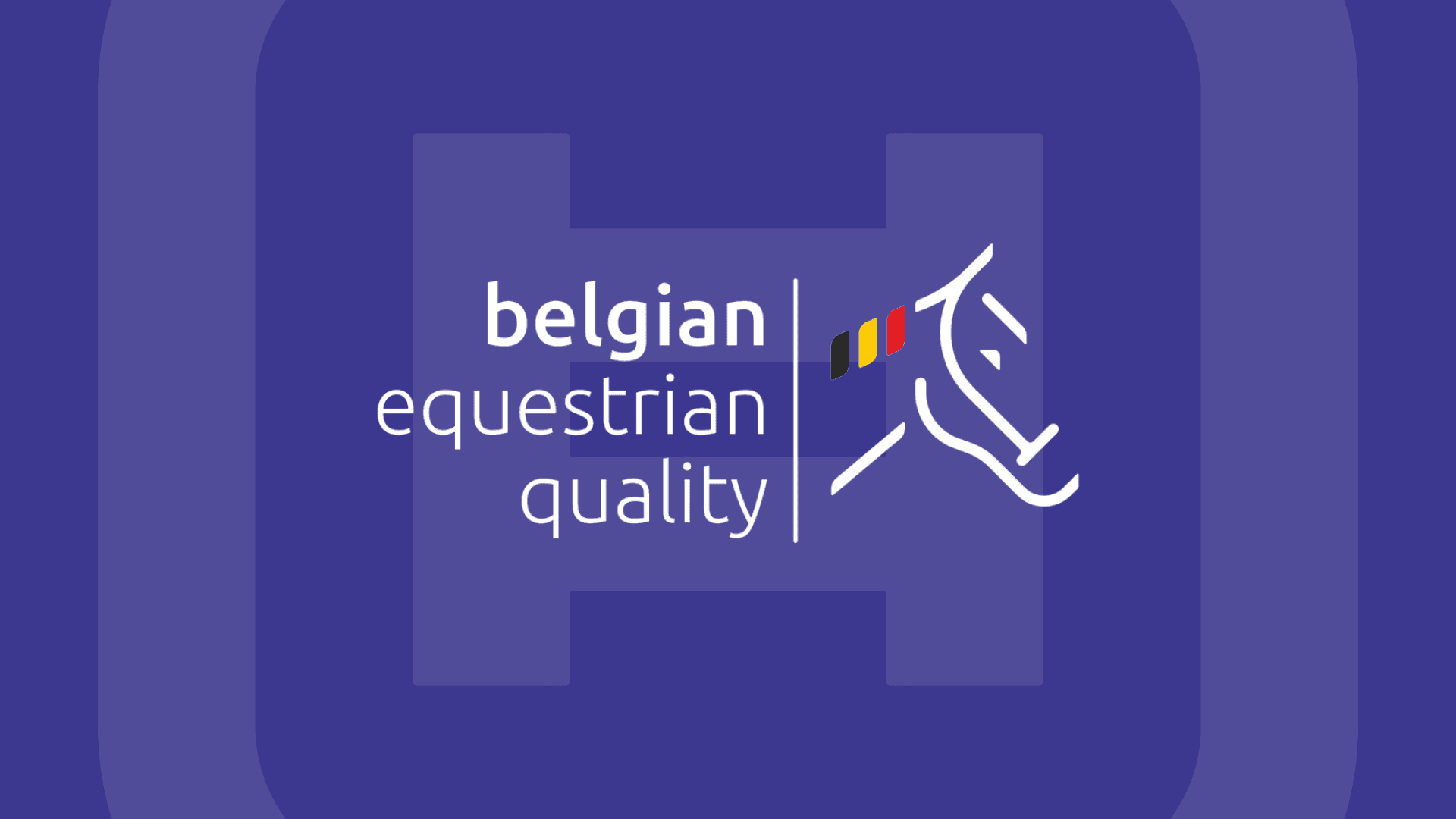 Equihub joins Belgian Equestrian Quality