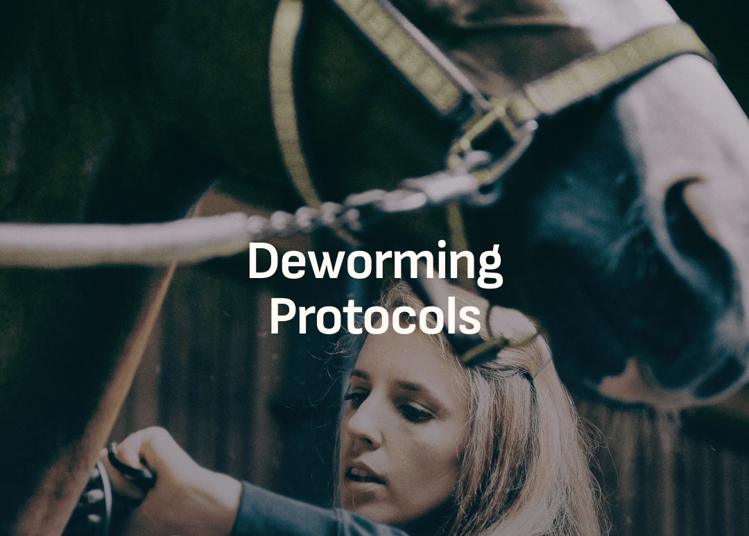 How Deworming Quietly Stopped Working